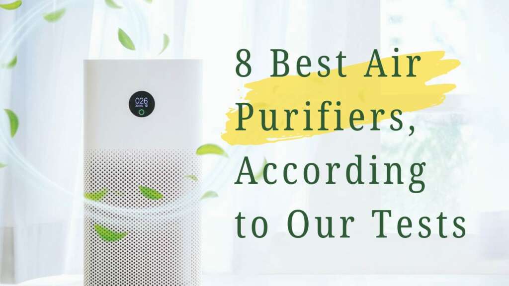 8 Best Air Purifiers, According to Our Tests