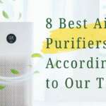 8 Best Air Purifiers, According to Our Tests